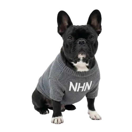 Promotional dog